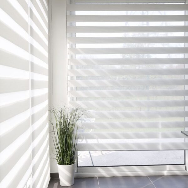 Zebra Blinds