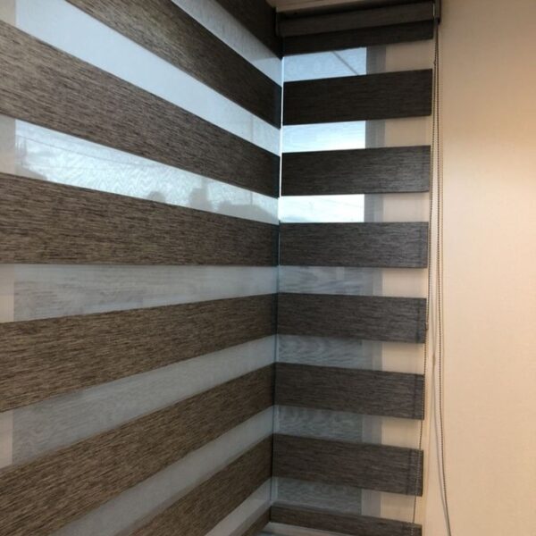 Zebra Blinds