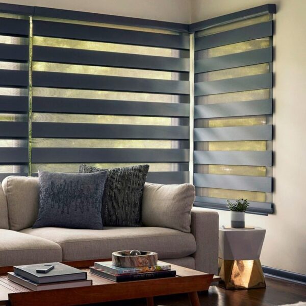 Zebra Blinds