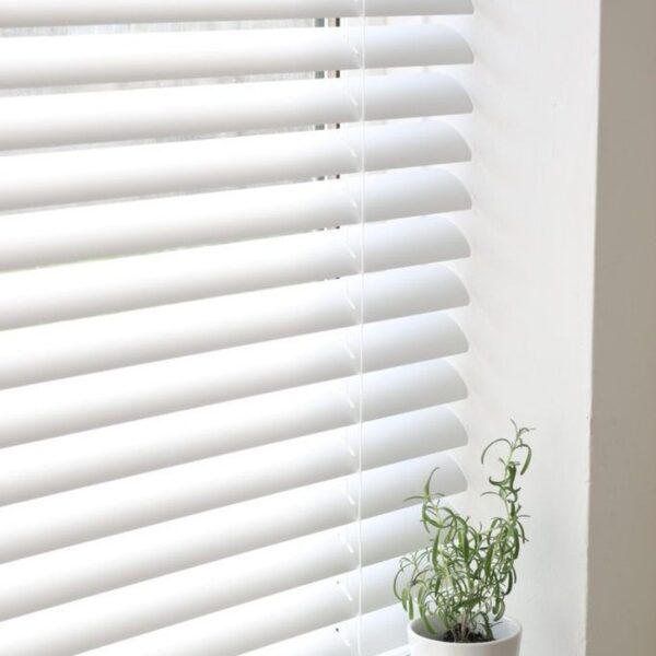 Zebra Blinds
