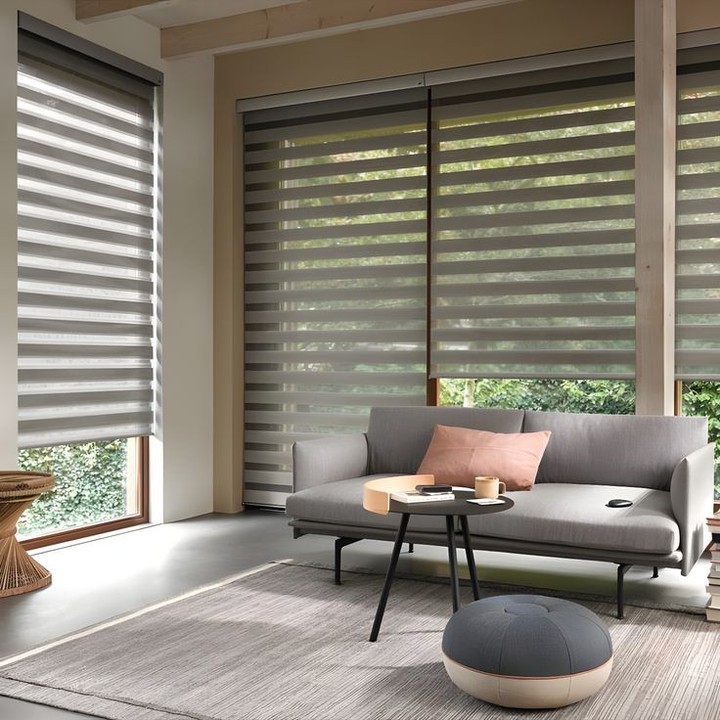 Windows Blinds