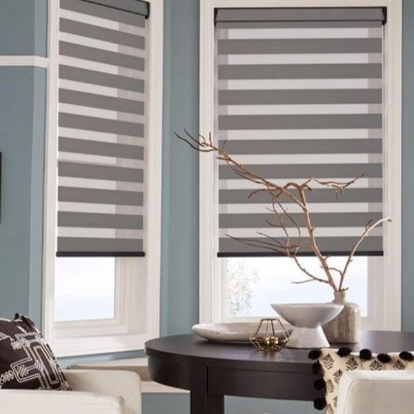 Zebra Blinds
